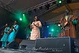 Bassekou Kouyate & Ngoni Ba (Grolsch Blues Festival)