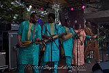 Bassekou Kouyate & Ngoni Ba (Grolsch Blues Festival)