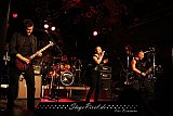Saphenous (Bochum Matrix)