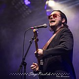 Eddie 9V (Schöppingen 31. Internationales Blues Festival)