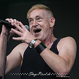 Steril (Hildesheim M'era Luna Festival 2024)