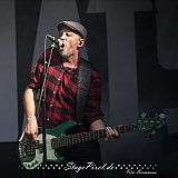 The O'Reillys And The Paddyhats (Feuertal Festival 2024)