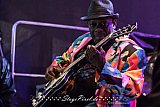 Lucky Peterson (Grolsch Blues Festival)