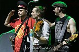 Mr. Irish Bastard (Oberhausen)